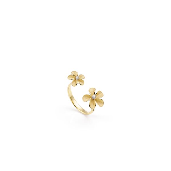 Ring Cherry Bloom